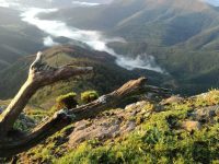 Día Mundial del Medio Ambiente