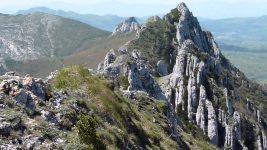 18 Noviembre – Toloño