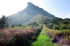 11 Mayo – Tologorri
