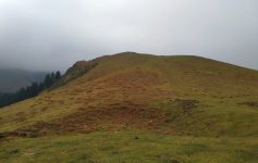 12 marzo – Gongeda