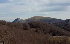 22 de abril – Gorbea