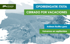 Fin del proceso de reflexión y cierre por vacaciones